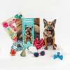 PopUp Dog