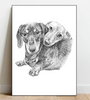 Custom Pet Portrait