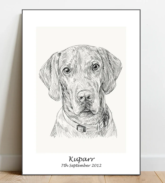 Custom Pet Portrait